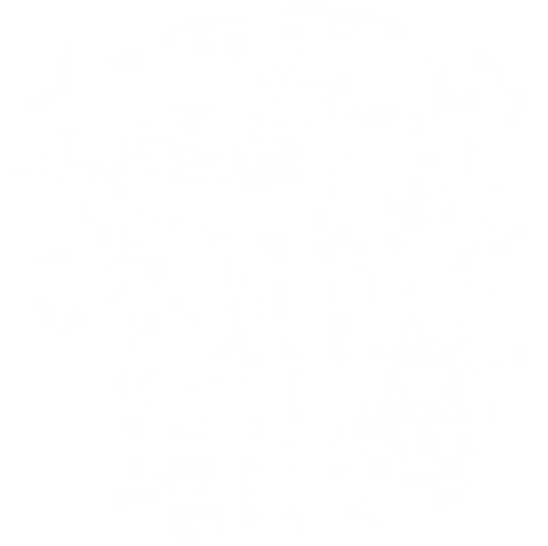 SHS Engine Showcase